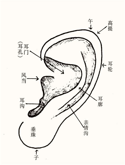 耳朵有垂珠|16种耳相图解